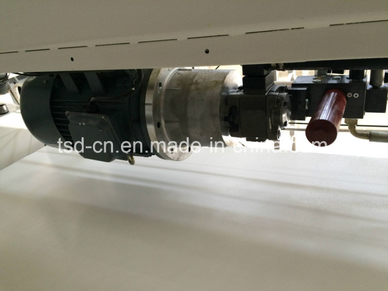 آلة هيدروليكية / الفرامل الهيدروليكية الصحافة باستخدام الحاسب الآلي / المجلد (WE67K-250/4000)