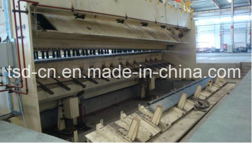 خط إنتاج قص الألواح المعدنية FMS (ZS-QD11K-16 &times; 9000)