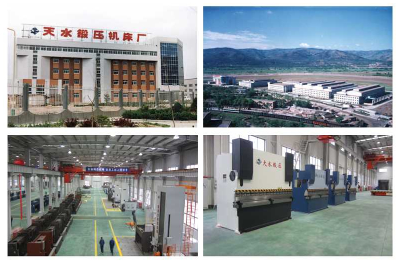 آلة القص / القص الهيدروليكية / آلة قص المعادن (QC11Y-6X3200)