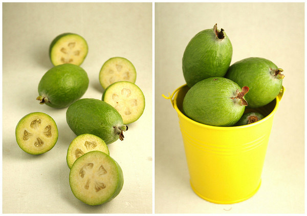 مروحة ريح حماية ضد الصقيع لشجرة Feijoa (FSJ-85)