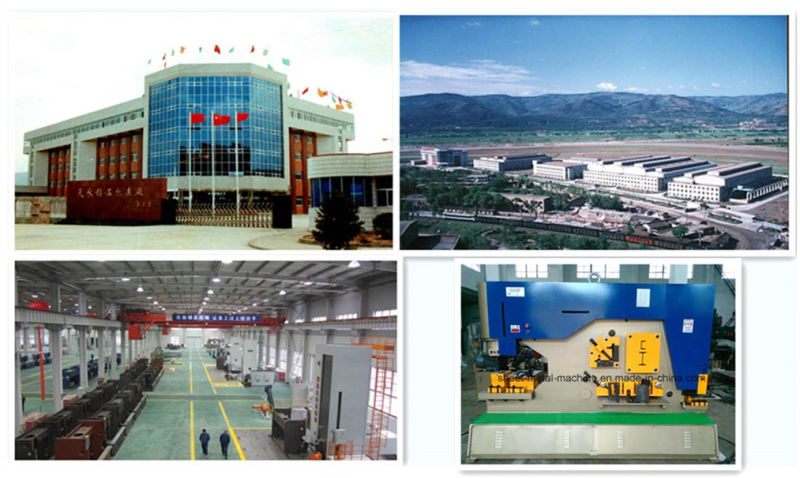 عامل حديدي لللكم والقطع الصلب الشخصي (Q35Y-40)