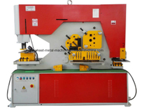 آلة عامل الحديد (Q35Y-30)