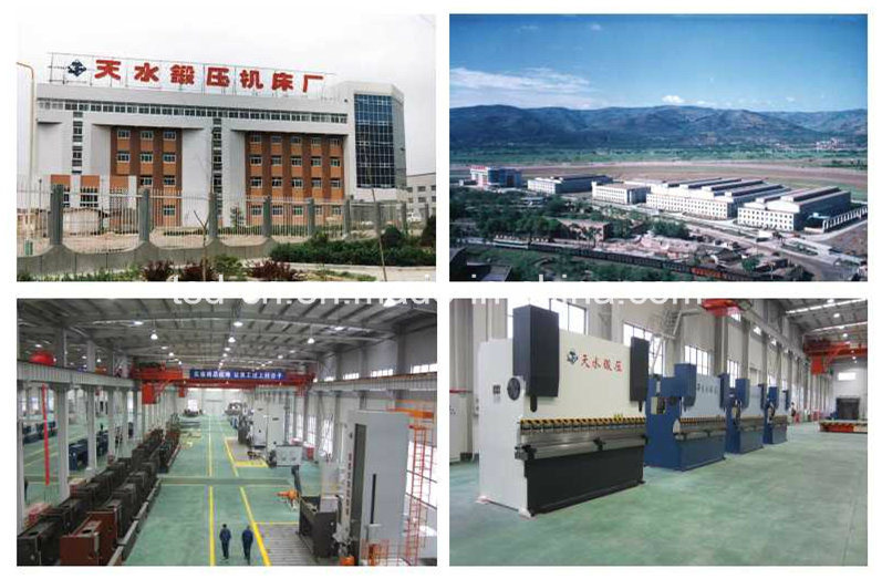 خط إنتاج قص المقصلة CNC FMS (ZS-QD11K-20 &times; 12000)