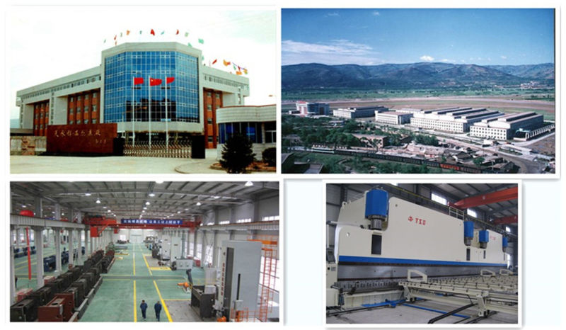 الفرامل الصحافة باستخدام الحاسب الآلي جنبا إلى جنب لبرج كهربائي (WE67K-1000/10000 + 600/6000)